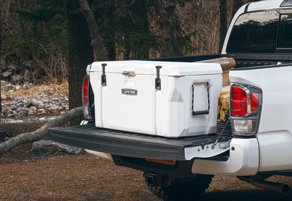 outdoor cooler with storage