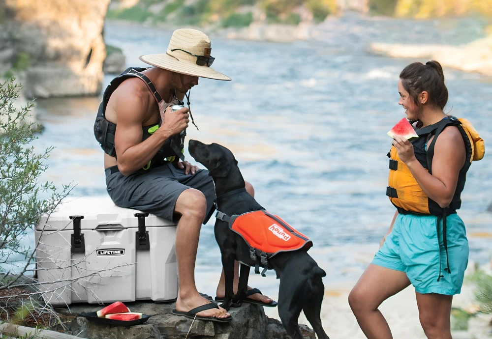 cooler ice chest