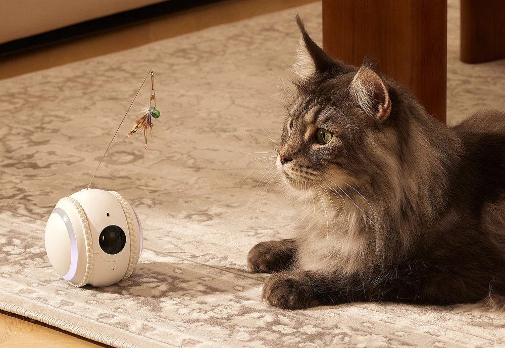 wireless home pet camera