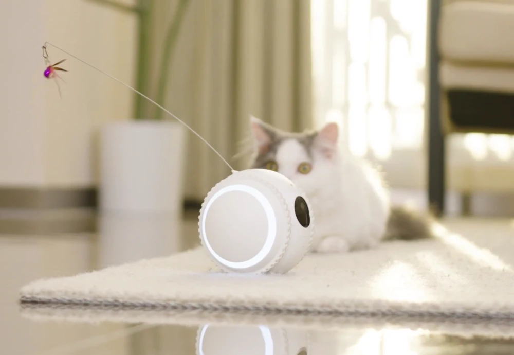 best camera for pets at home