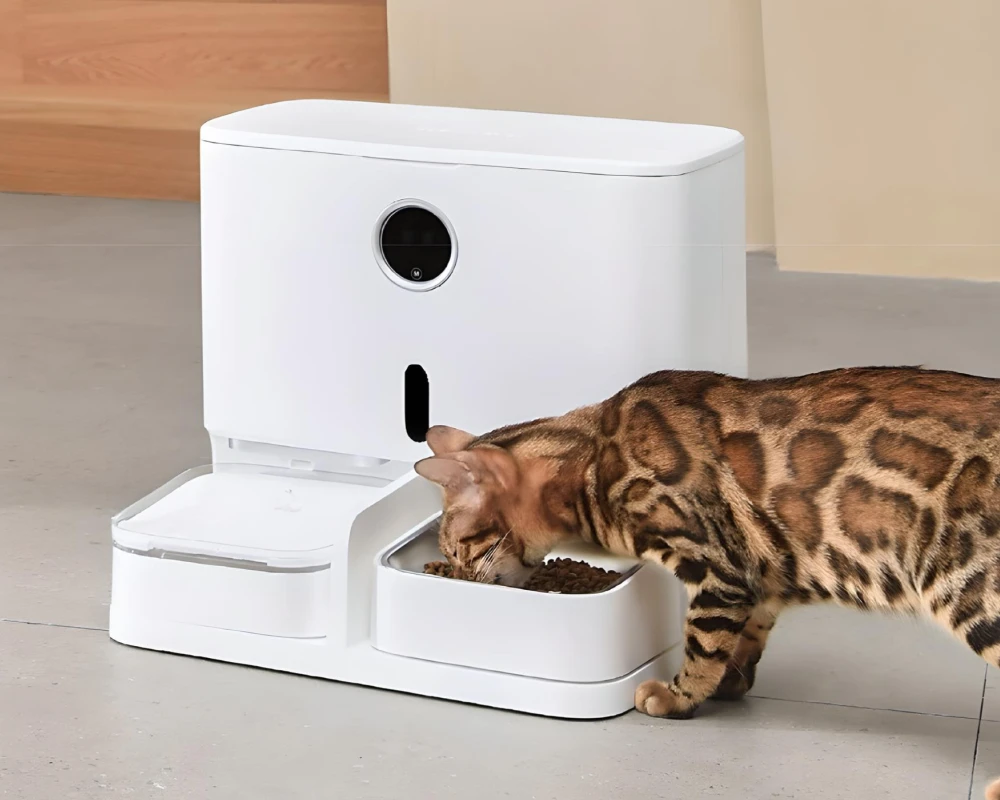 automatic dog feeder and water