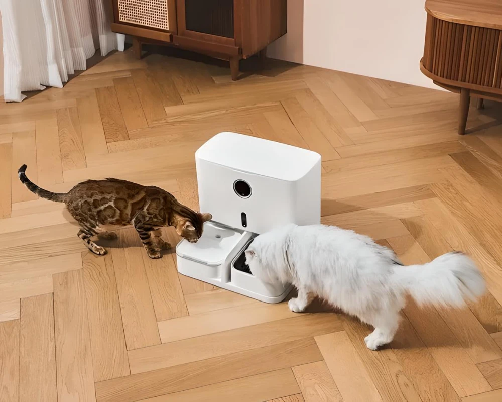 pets automatic pet feeder