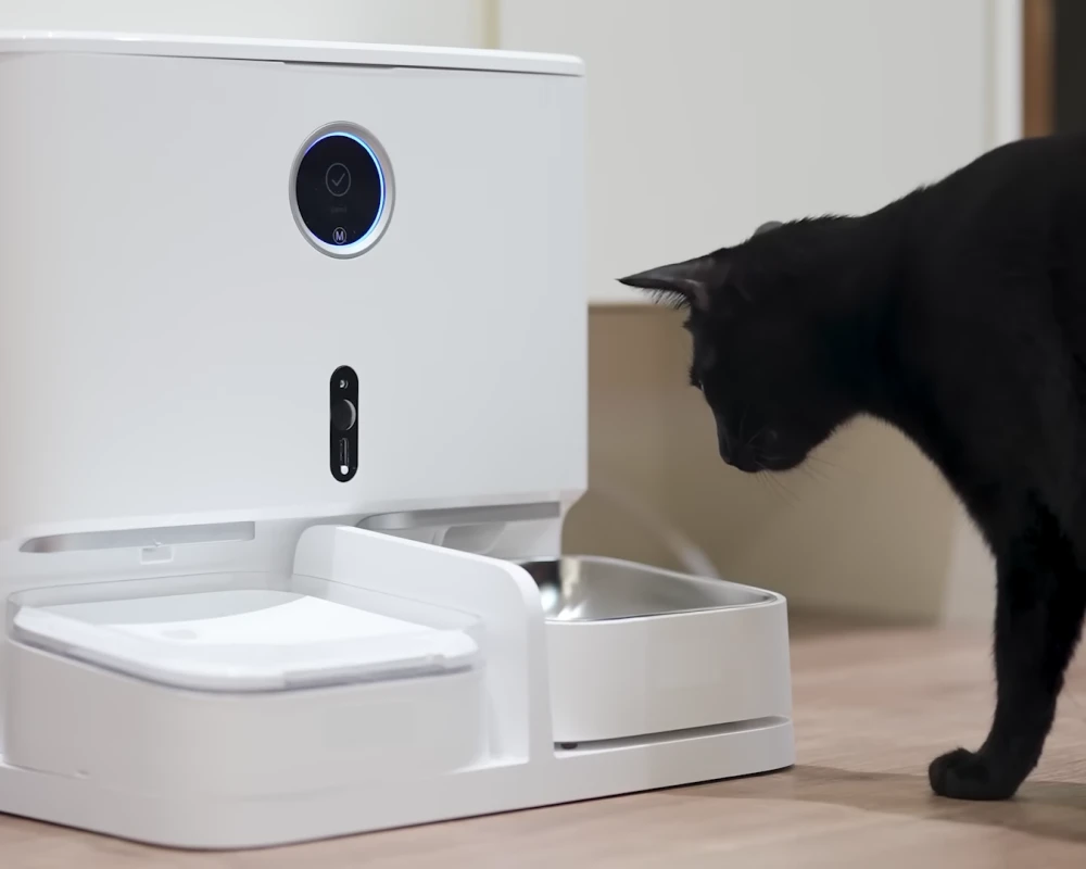 automatic feeder with camera